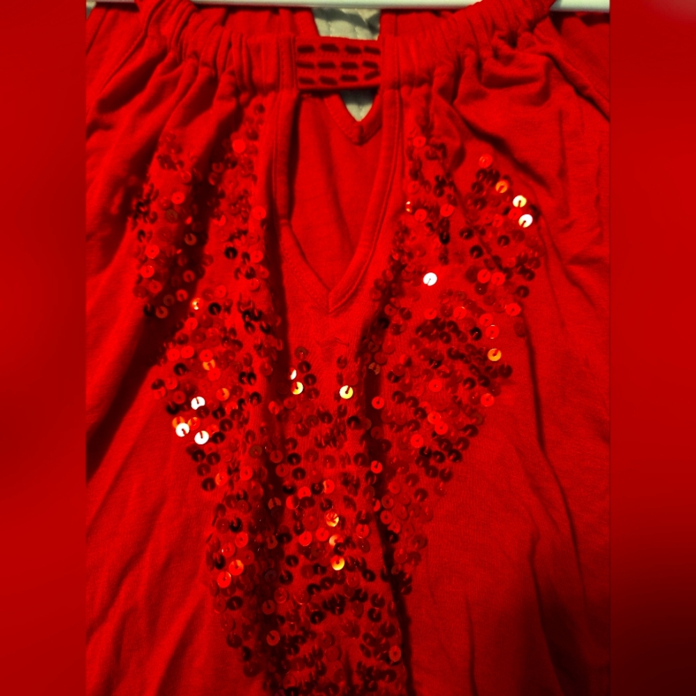 Lane Bryant Scarlet Top